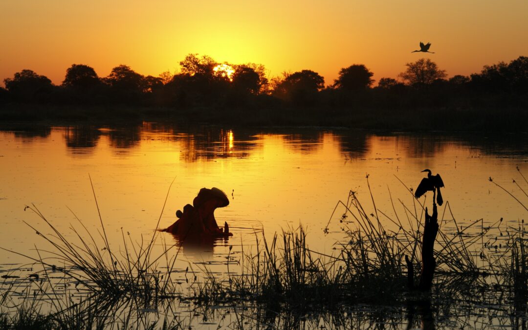Sunset in the Okavango Delta - Botswana Diamonds are not just in mines!